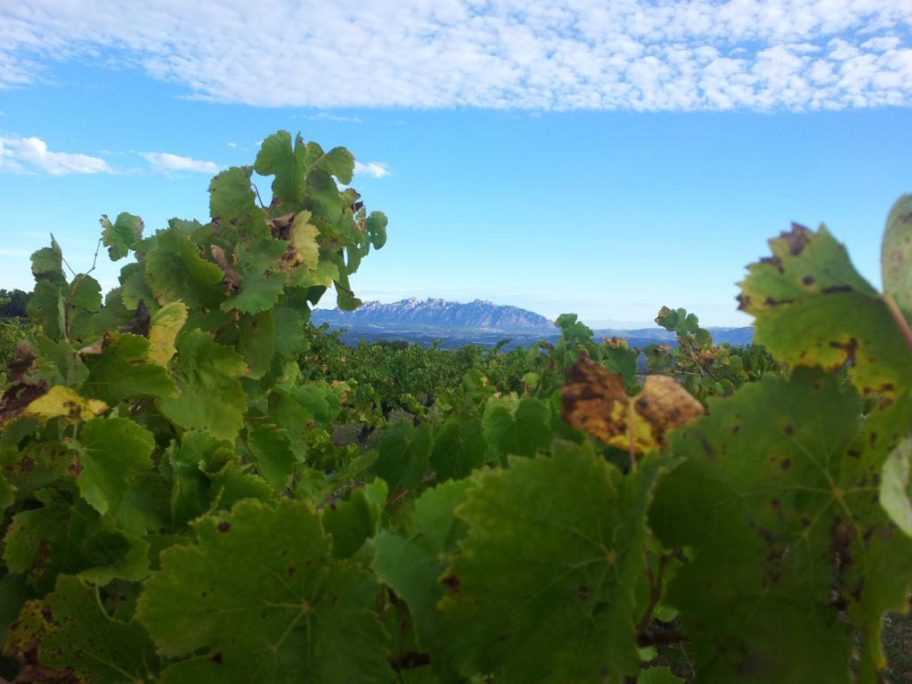 Agroturisme Cal Jeroni Avinyonet del Penedes Exterior foto